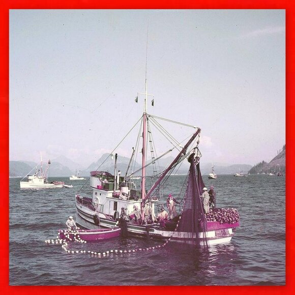 Splendid Set of 4 x 1979 Canada $5 Bills! - Picture 8 of 11